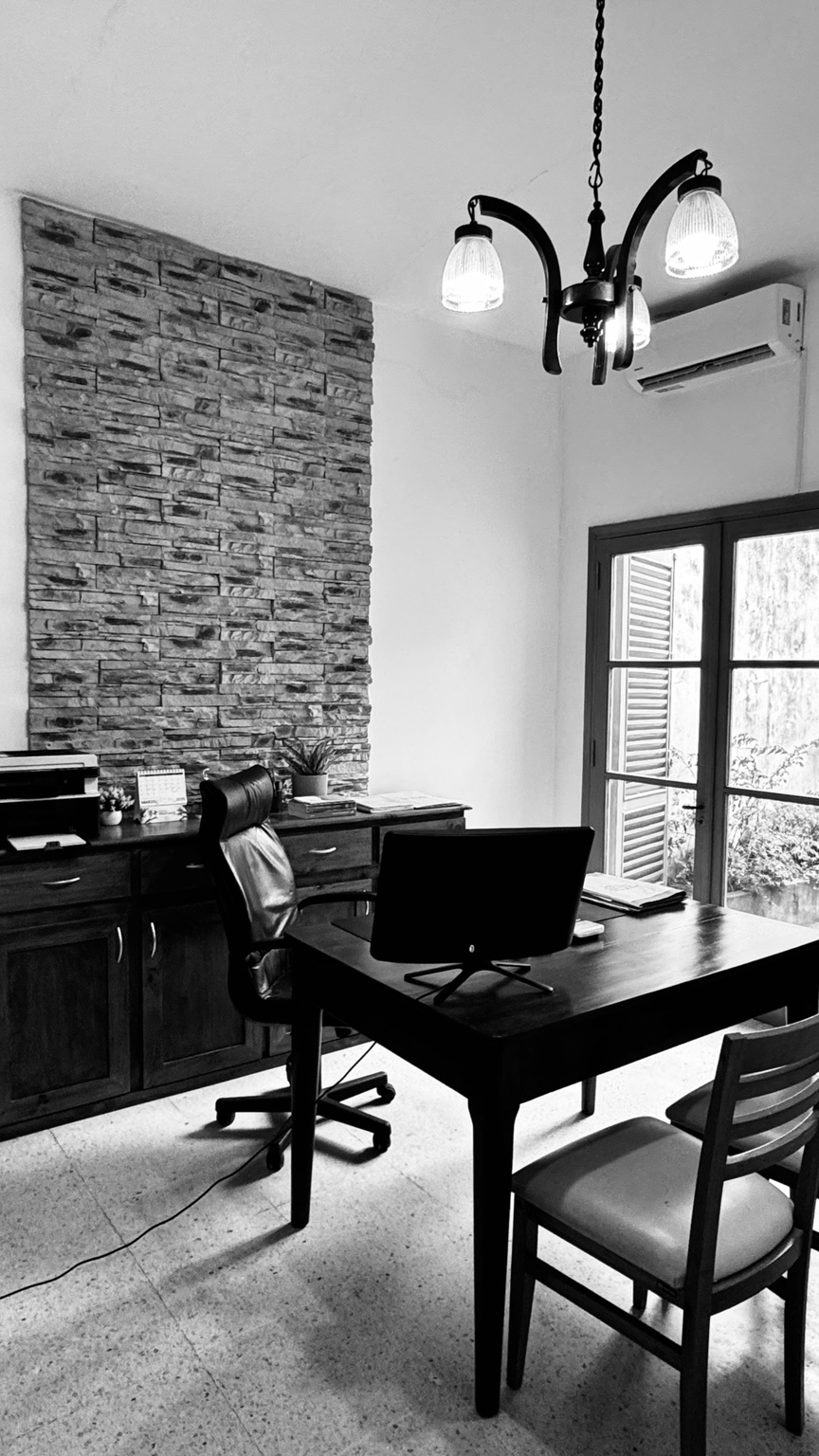 Vista lateral del despacho y su pared revestida